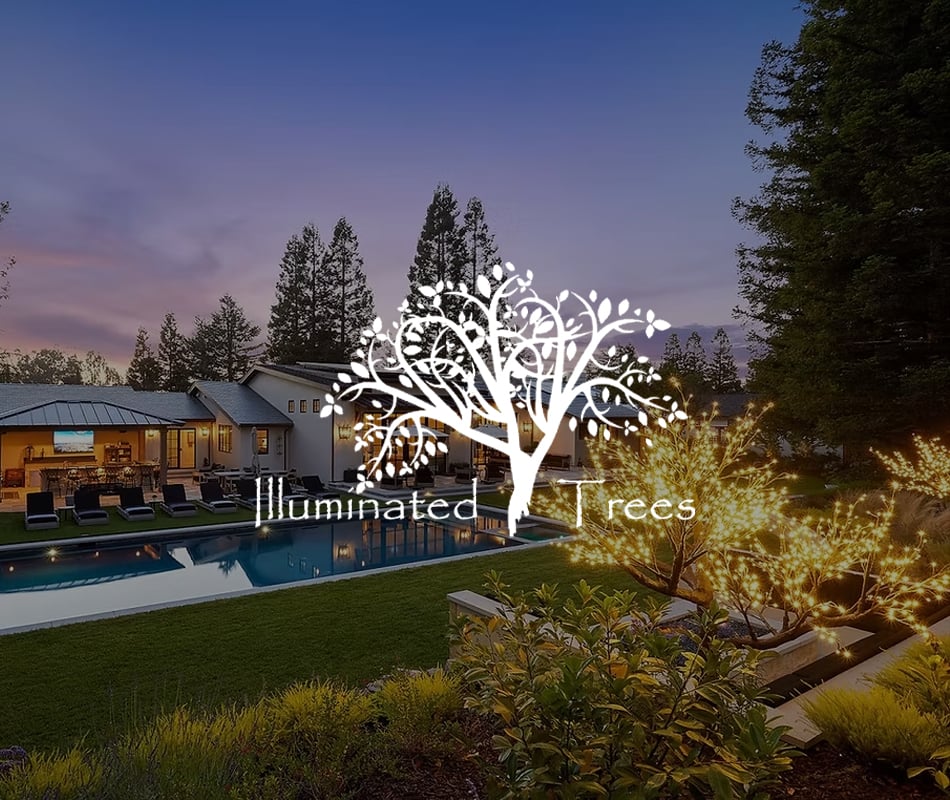 Illuminated Trees Card