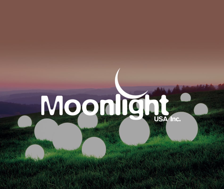 Moonlight Cover