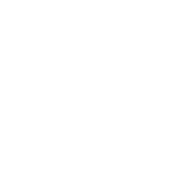 Skyline Design Logo White