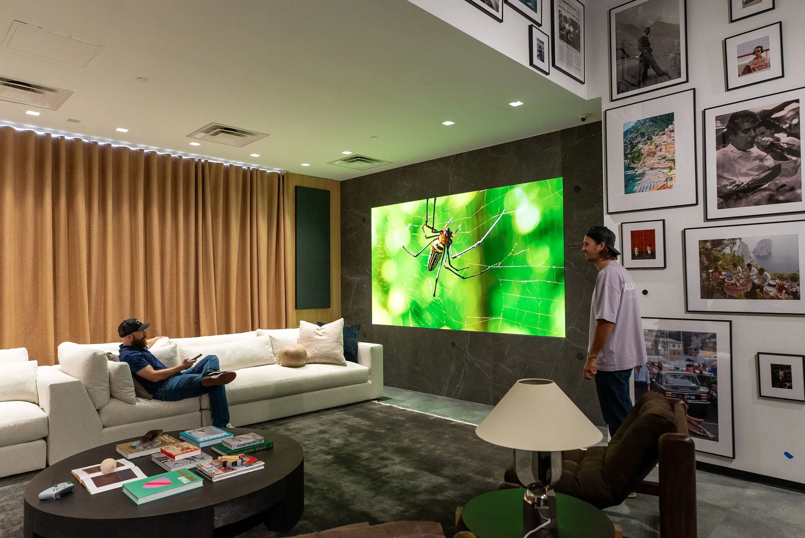 big-spider-on-a-video-wall